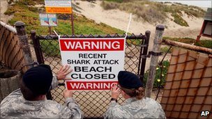 Shark Attack Surf Beach in Vandenberg Air Force Base (VAFB)