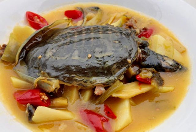 turtle soup