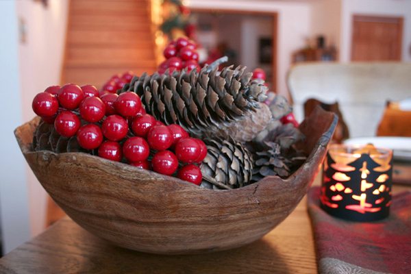 inexpensive-bowl-of-pine-cones