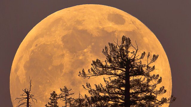 clicking-the-blood-supermoon-2016