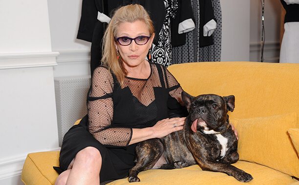 carrie_fisher_dog_pet