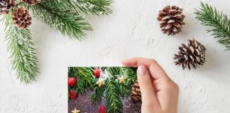 Christmas season cards