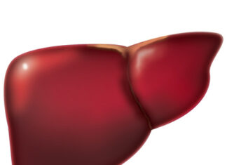 Liver